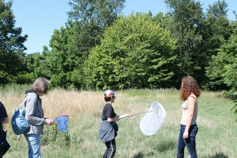 A la découverte des papillons