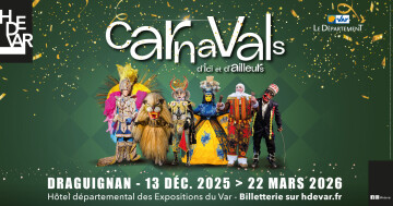 Visite guidée par le commissaire (adultes)