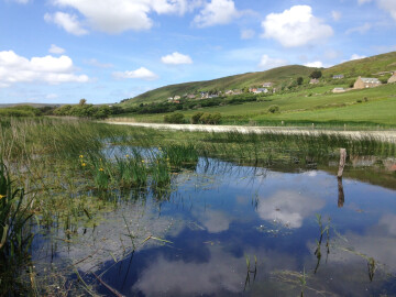 Vauville/50 : Visite guidée de la Réserve Naturelle Nationale de la Mare de Vauville