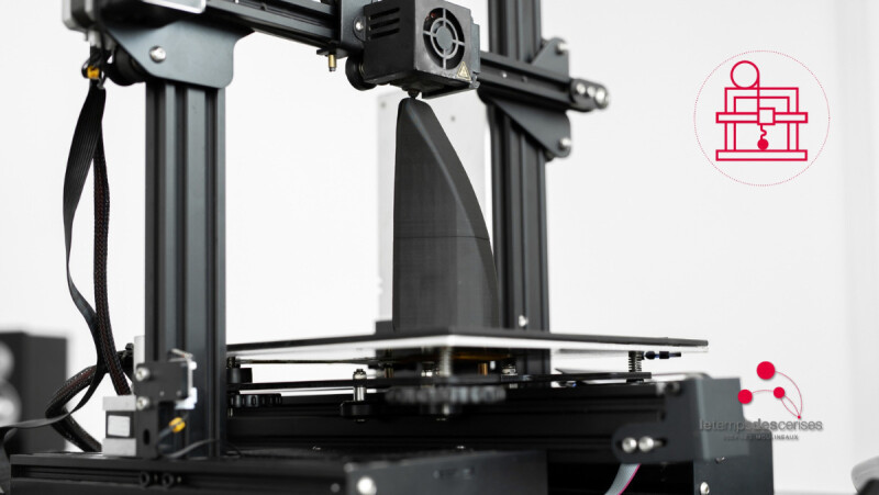 Création 3D 8-11 ans