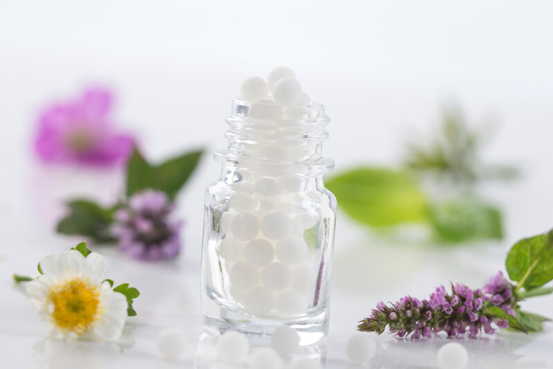 Atelier des plantes médicinales et tisanes