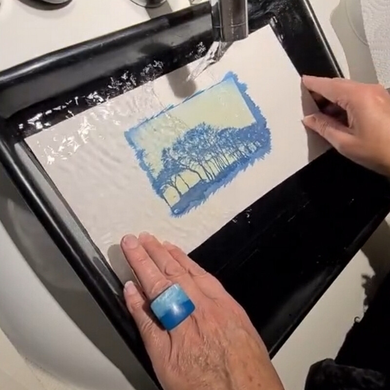 Initiation au cyanotype avec l'artiste Edwige K.