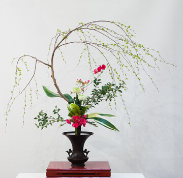 L'ikebana s'expose