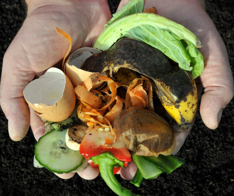 Formation Compostage