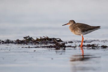 GENETS/50 : formation des adhérents et adhérentes