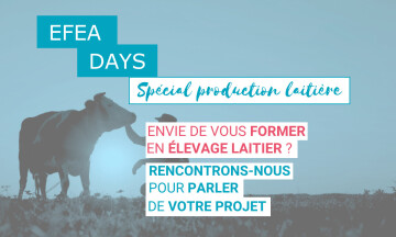 ÉFEA Days - Spécial production laitière