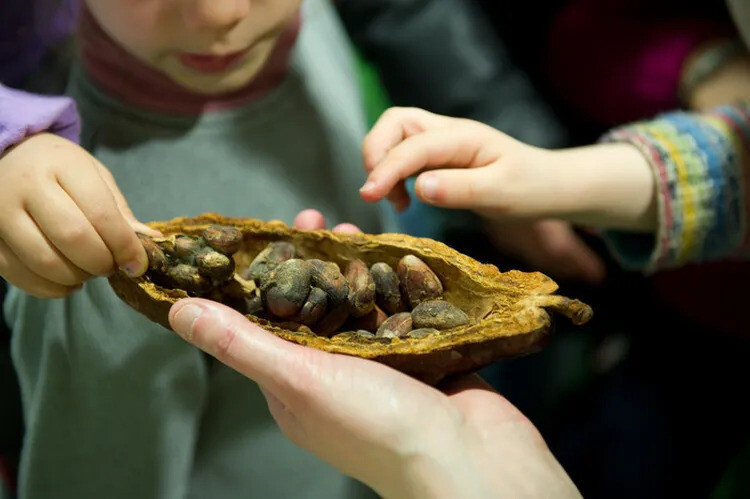 Visite multisensorielle de l'exposition "Domestique-moi si tu peux !"