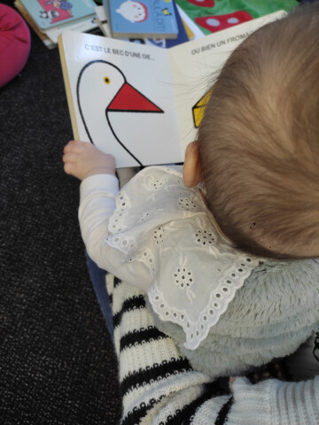 Lire avec les bébés