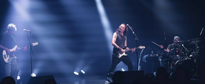 LES BISKOTOS - SAUVAGE