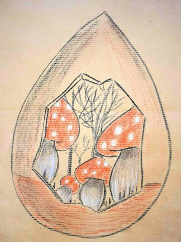 Atelier Création « Toute une vie dans une coquille »