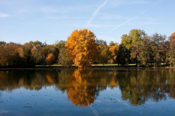 La faune au domaine de Soucy / LSF