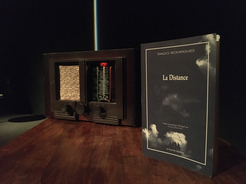 "La Distance" de Tiago Rodrigues