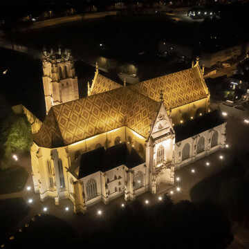 Médiation flash au cœur du musée