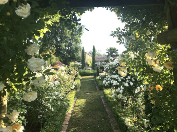 Promenade découverte
