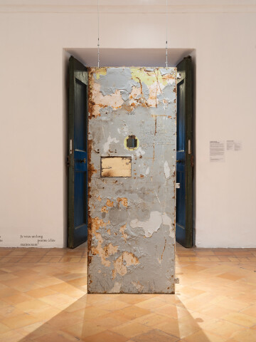 Visite guidée de l'exposition de Nicolas Daubanes