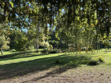 Visite découverte de nos jardins