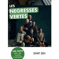 Les negresses vertes