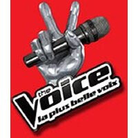 The voice, le casting officiel
