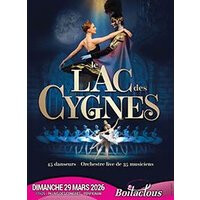 Le lac des cygnes international ballet