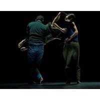 A l'ombre d'un vaste detail