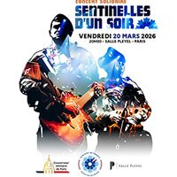 Sentinelles d'un soir