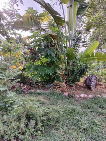 Visite et découverte du Jardin BITABITA