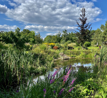 Visite libre du jardin