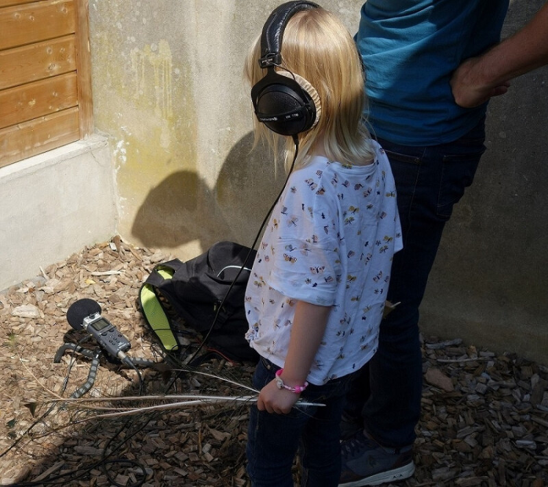 Atelier "Sons et Nature"