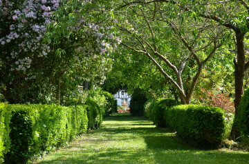 Visite guidée du jardin