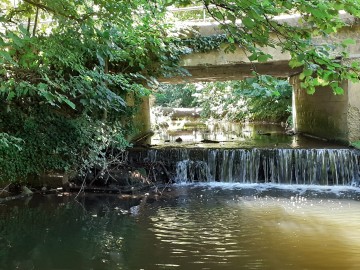 Les pieds dans l'eau avec "Les Chemins de l'Ecureuil!"