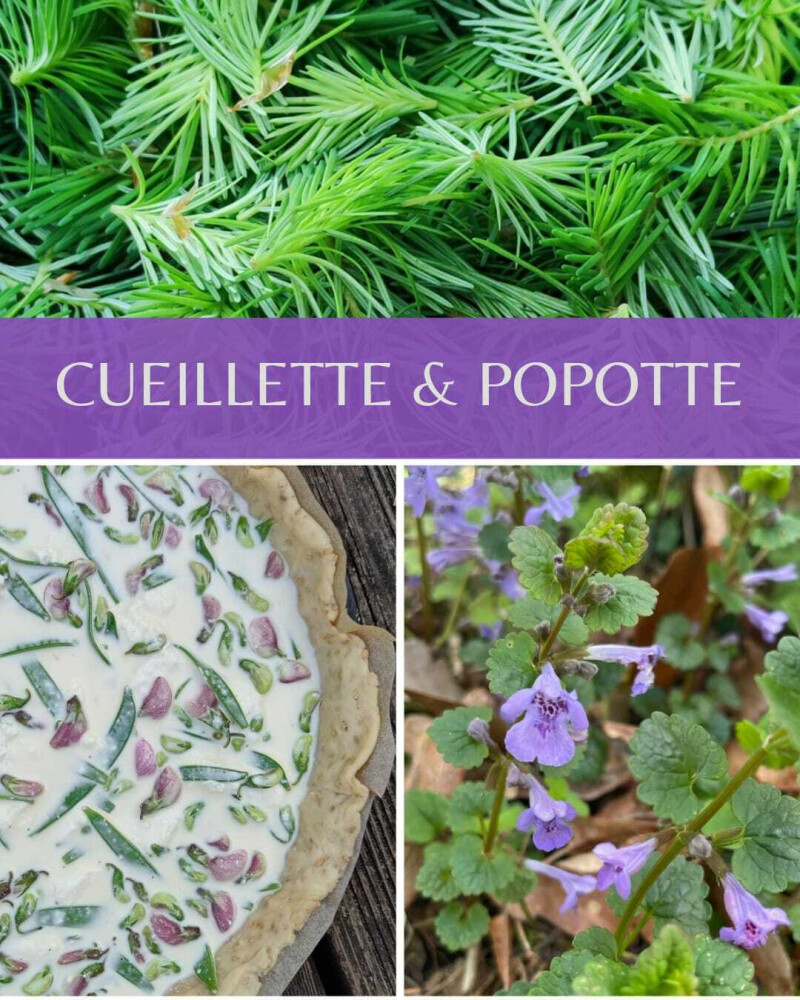 Cueillette et Popote