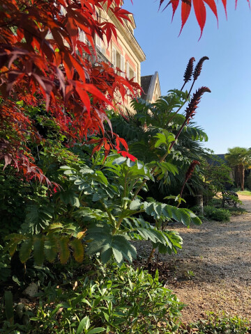 jardin de la Chêneraie  pour les "rendez-vous au jardin"