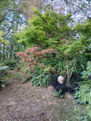 Visite d'un jardin remarqué