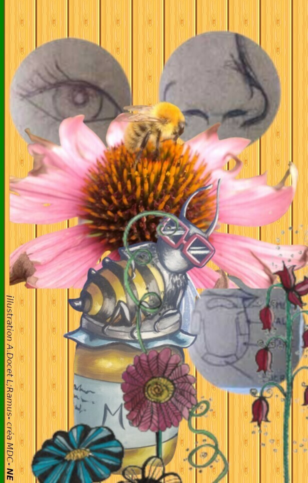 visite découverte du jardin mellifere