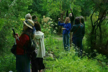 Visites guidées du jardin botanique de la faculté de santé d'Angers
