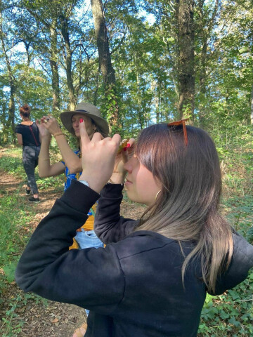 sylvothérapie - shinrin yoku