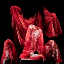 Dracula (Lucy's Dream)