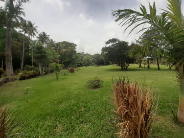 Découverte de l'habitation Petit-Parc