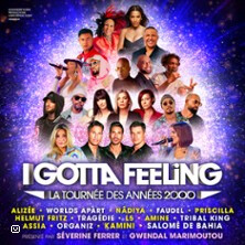 I Gotta Feeling - La Tournée des Années 2000 - Paris & Province