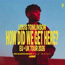 Louis Tomlinson - How Did We Get Here ?