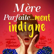 Mère parfaite...ment indigne !