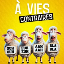 A Vies Contraires - Café-Théâtre Les 3T d'A Côté, Toulouse