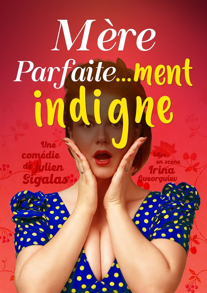 Mère parfaite...ment indigne !