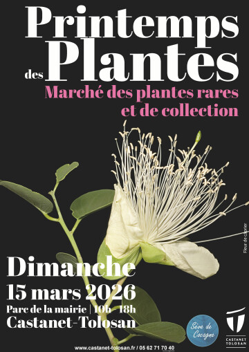 le printemps des plantes