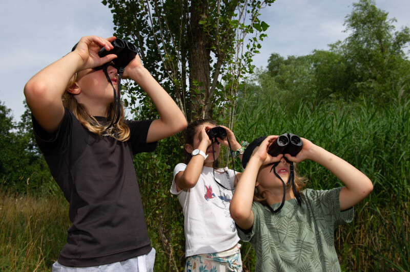 Balade nature : zone humide et biodiversité printanière