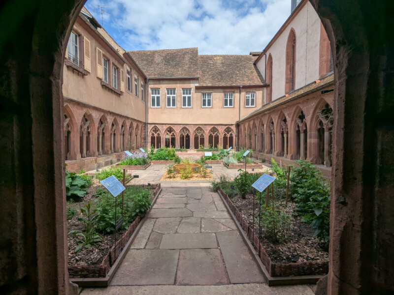 Visite guidée du jardin des plantes médicinales du cloître des Récollets de Saverne et animation médiévale