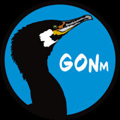 LESSAY/50 : animation GONm