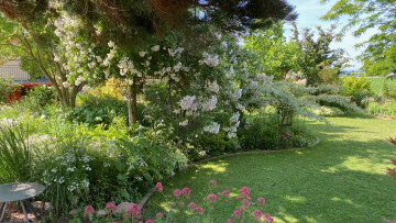 Découverte libre du jardin de Sylvie et Roland
