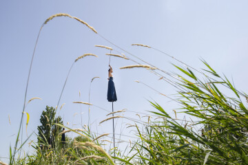 Spectacle aérien RoZéO