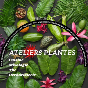 Les plantes locales an tout sòs!